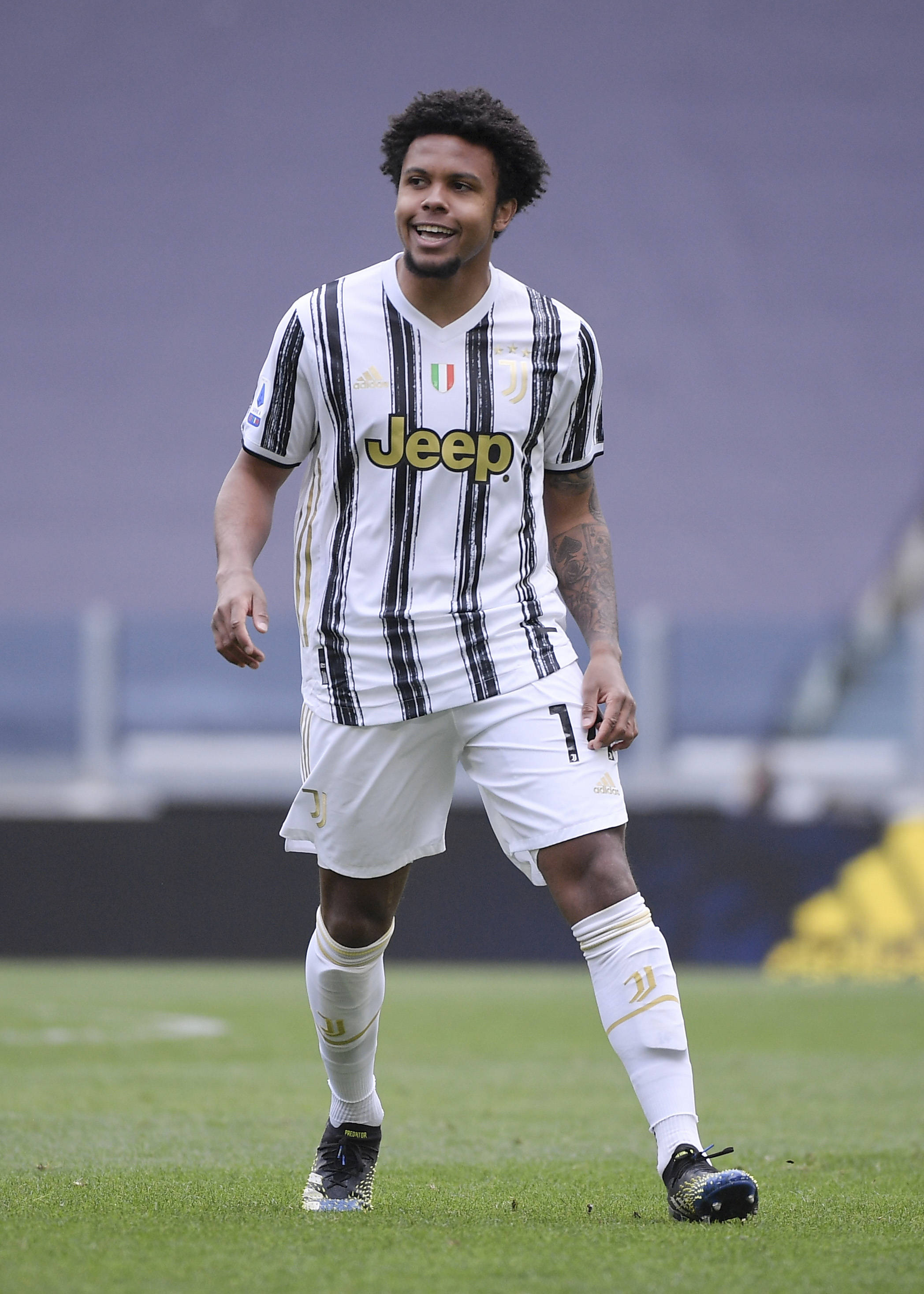 给双方提供 给双方提供